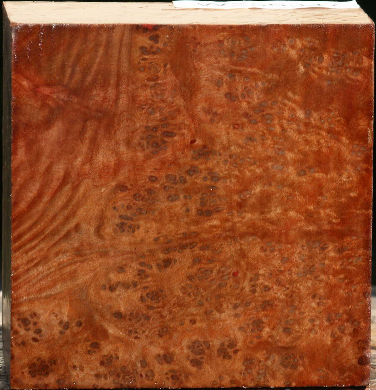 Madrone Burl Bowl Blank