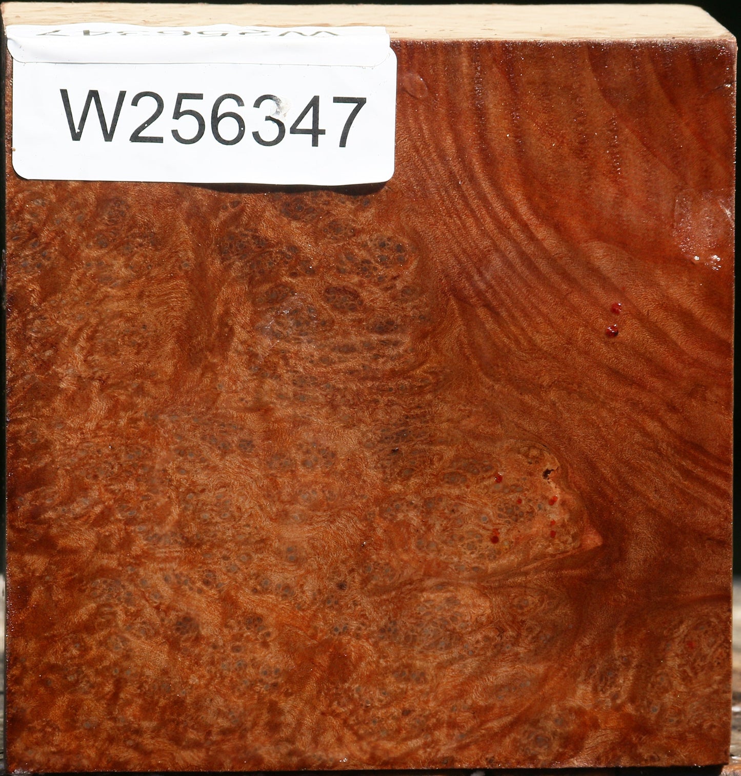 Madrone Burl Bowl Blank