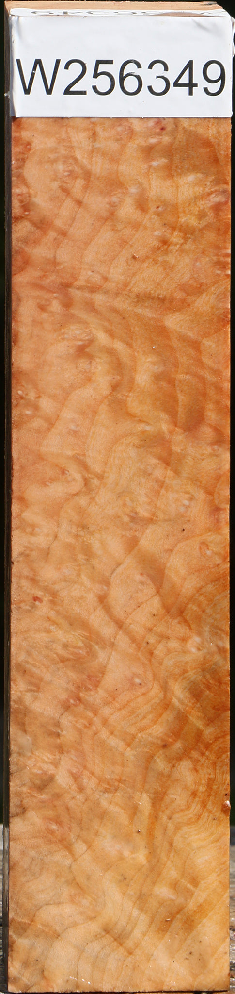 Madrone Burl Turning Square