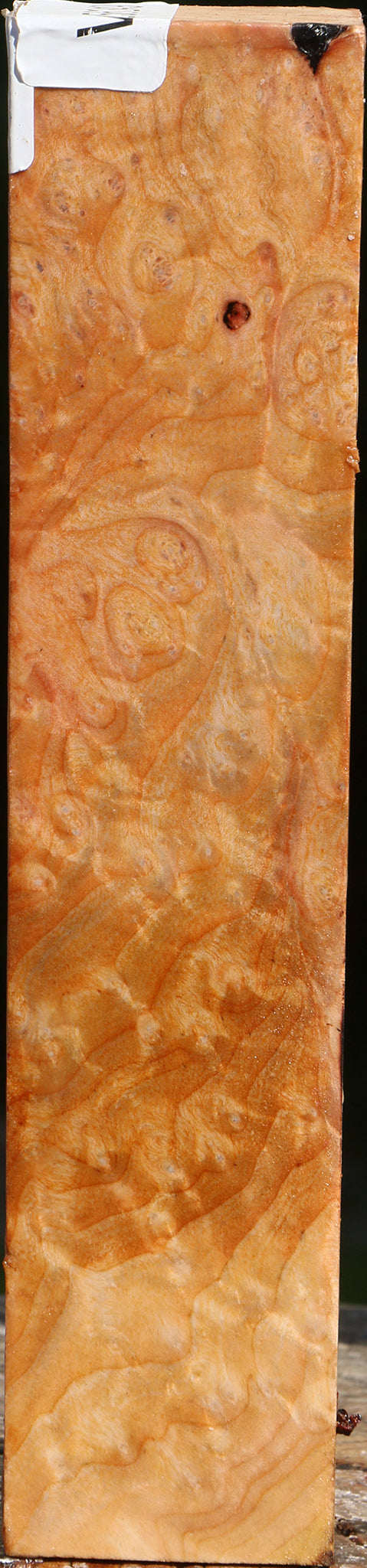 Madrone Burl Turning Square