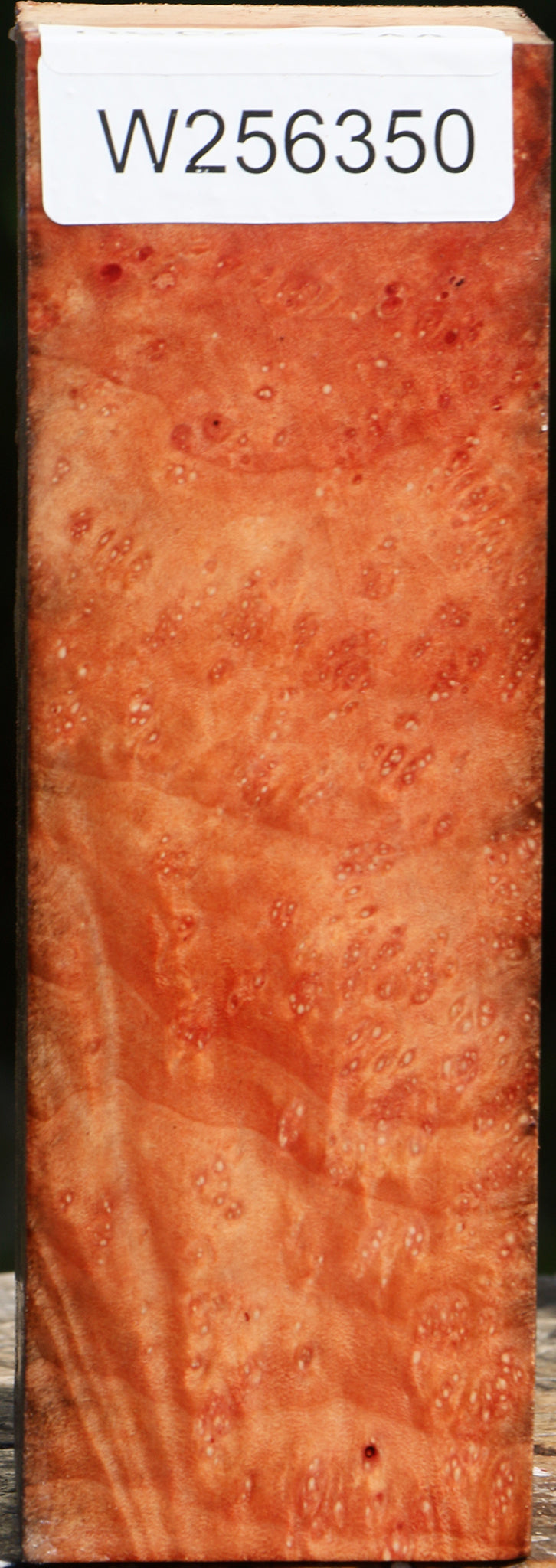 Madrone Burl Turning Square