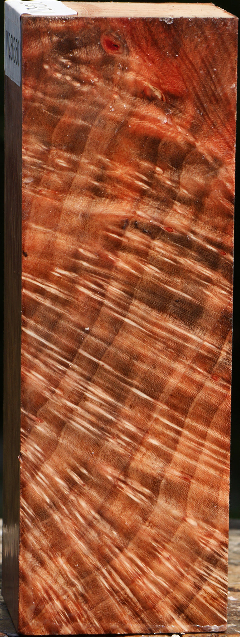 Madrone Burl Turning Square