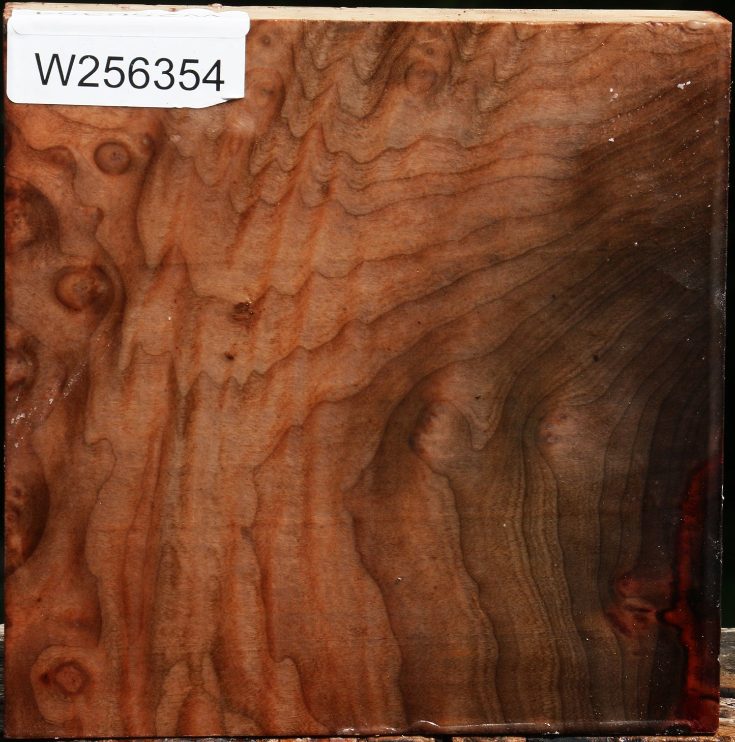 Figured Madrone Bowl Blank