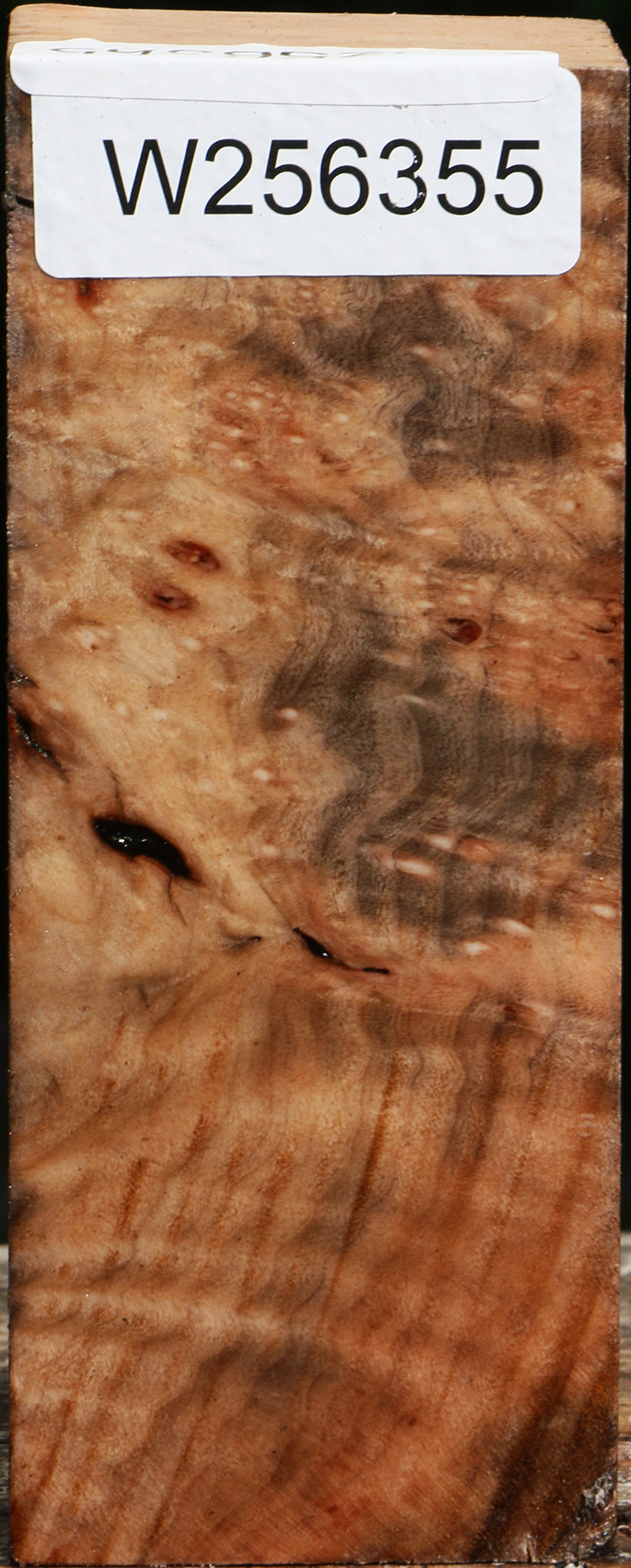 Madrone Burl Turning Square