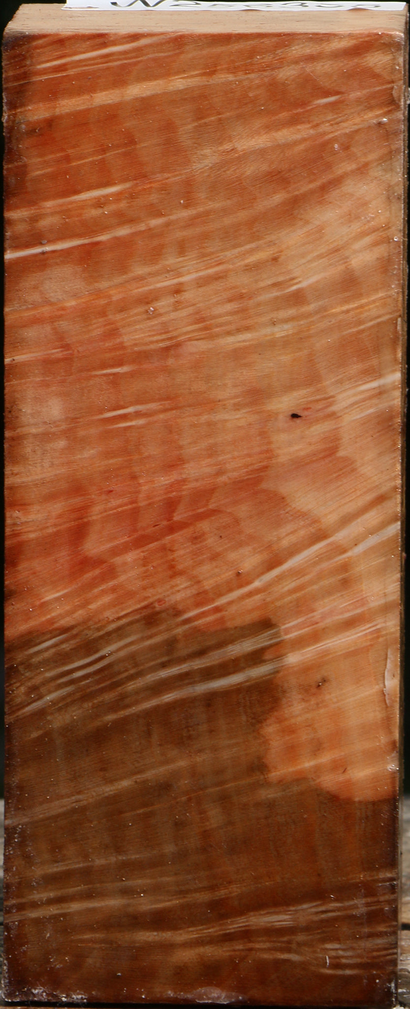 Madrone Burl Turning Square