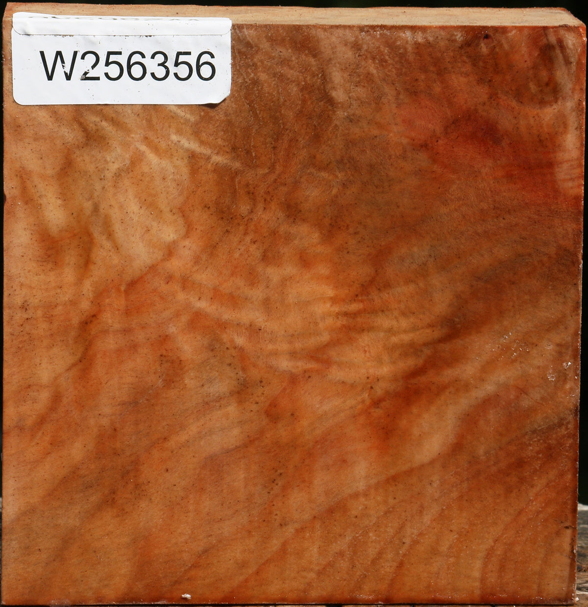 Figured Madrone Bowl Blank