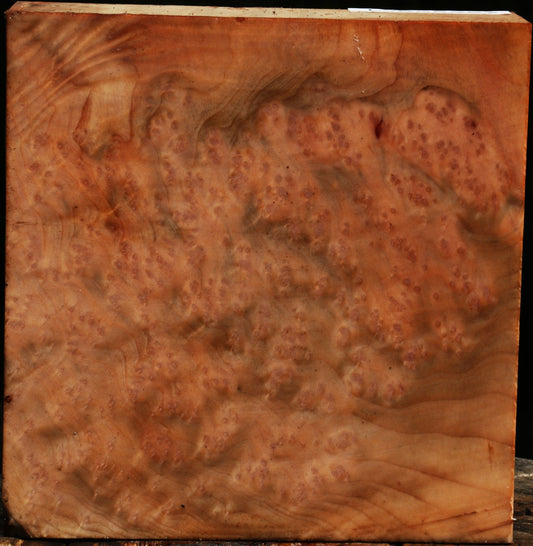 Madrone Burl Bowl Blank
