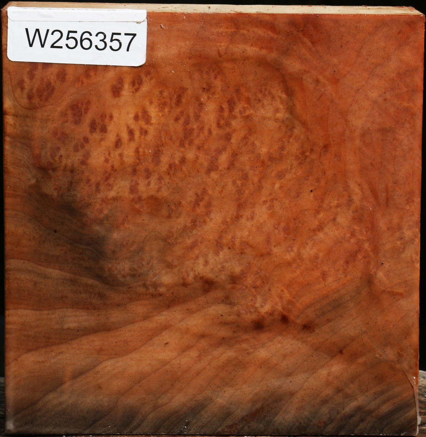 Madrone Burl Bowl Blank