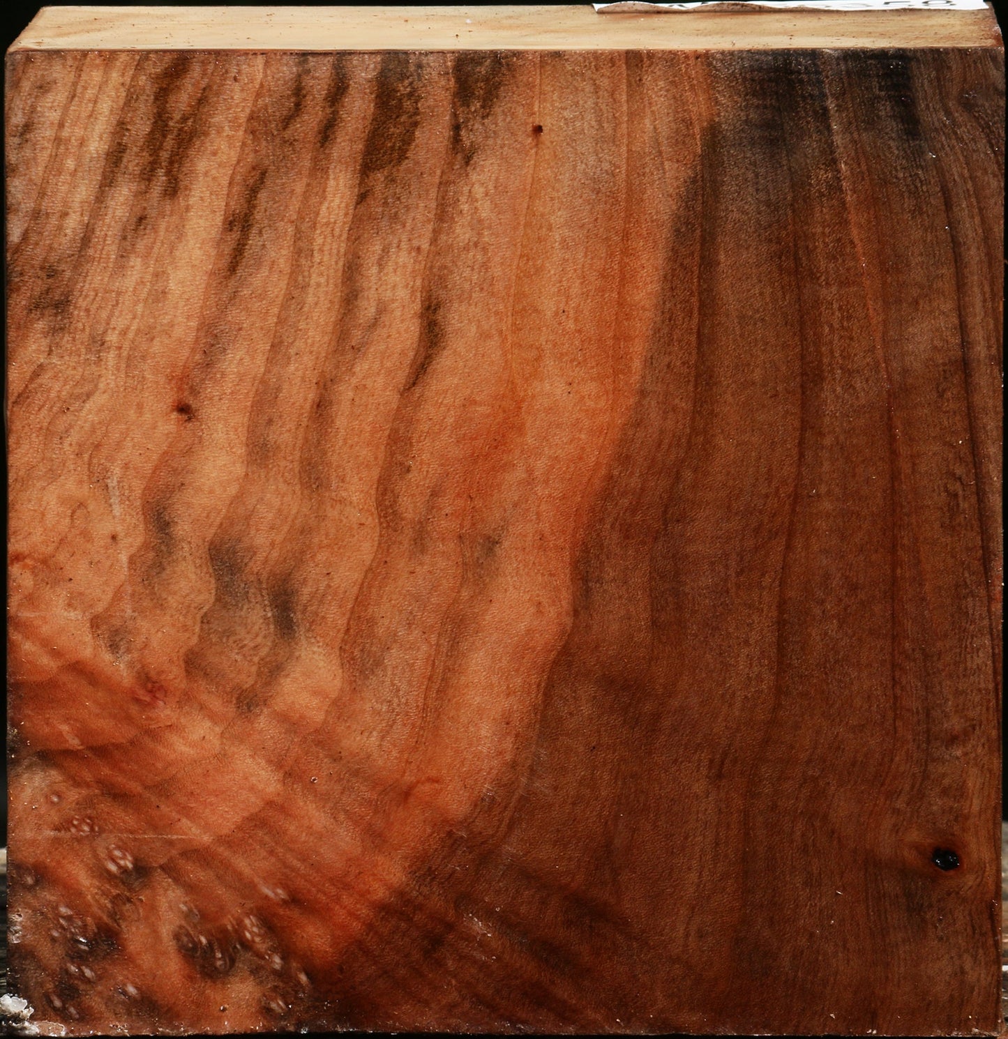 Madrone Bowl Blank