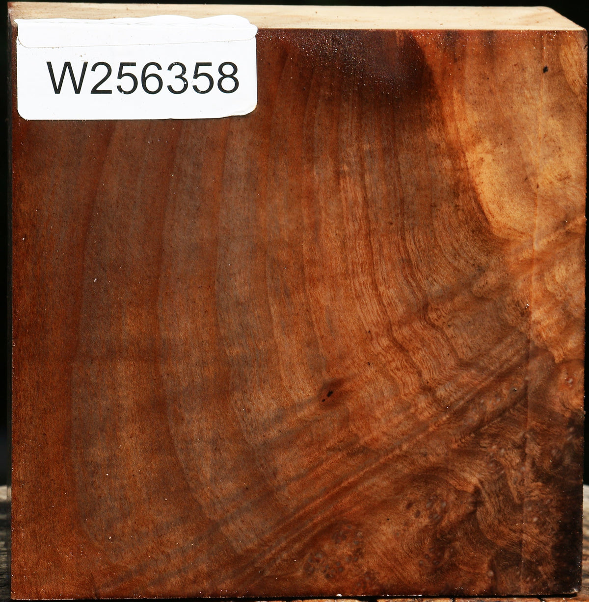 Madrone Bowl Blank