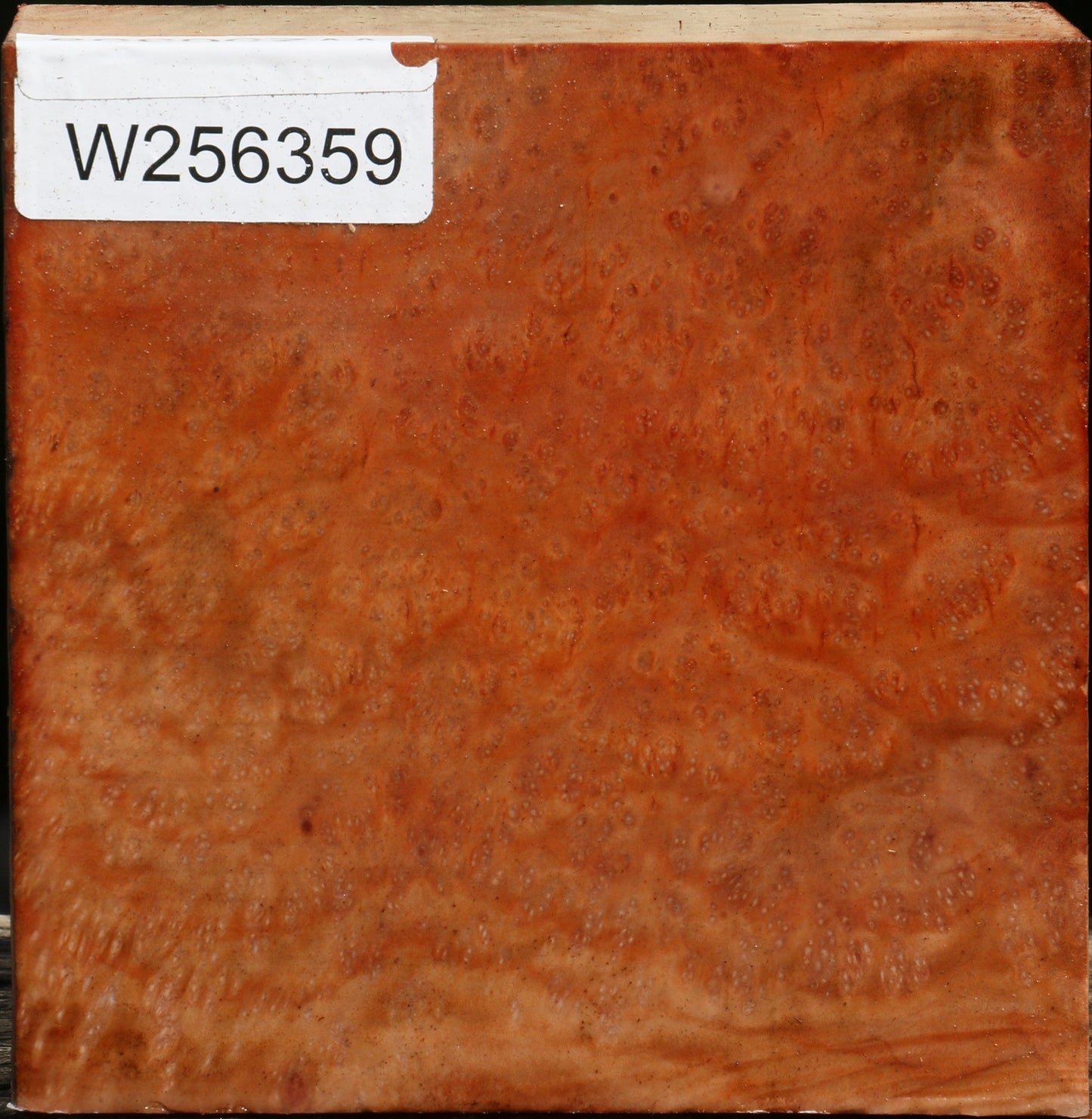 Madrone Burl Bowl Blank