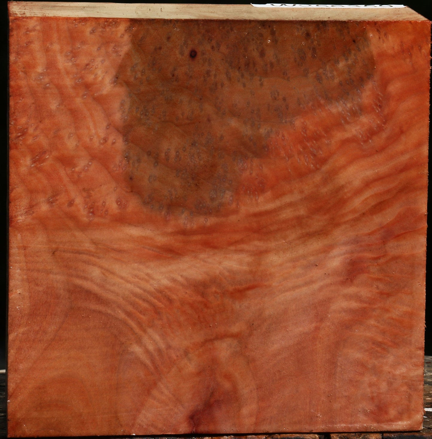 Madrone Burl Bowl Blank