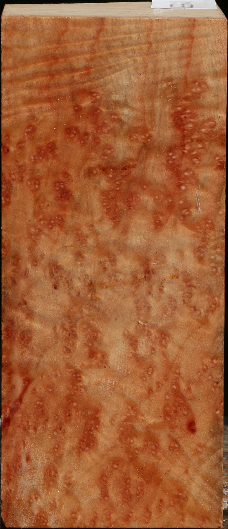 Madrone Burl Live Edge Bowl Blank