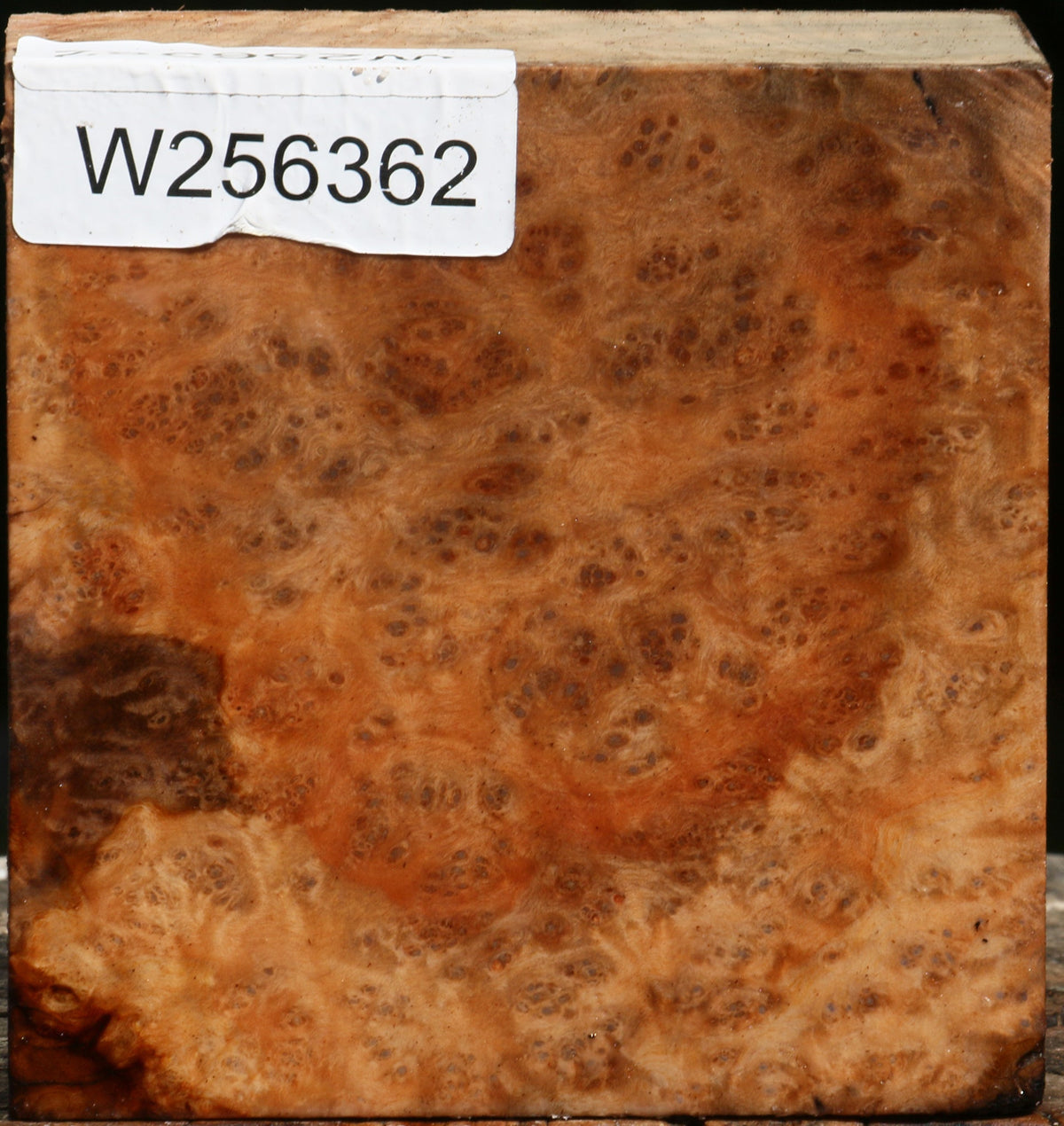 Madrone Burl Bowl Blank