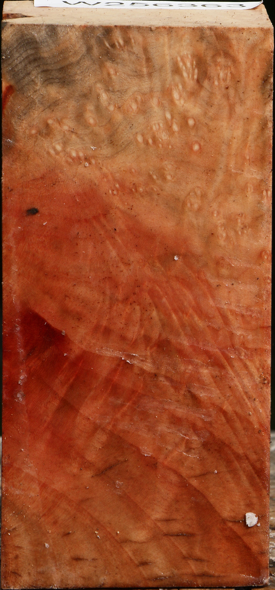 Madrone Burl Turning Square