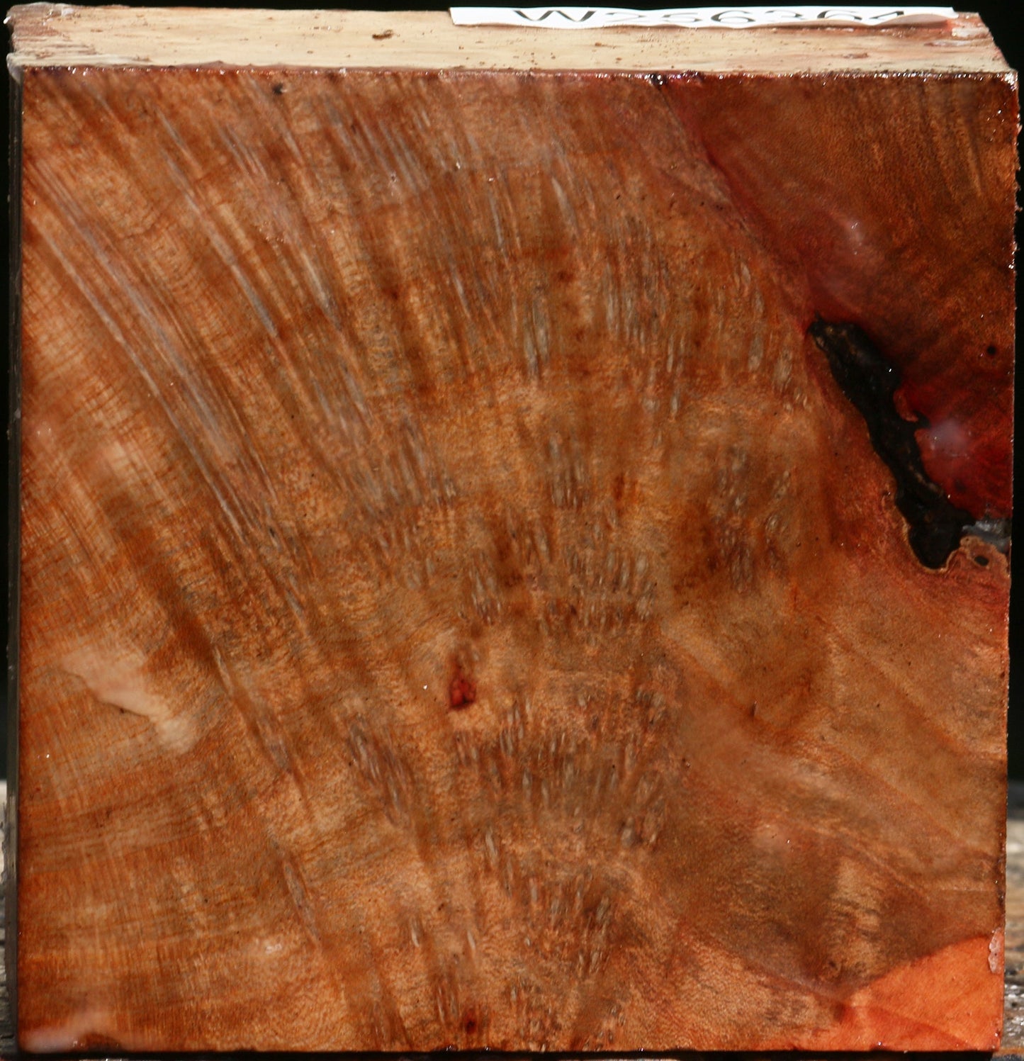 Madrone Burl Bowl Blank