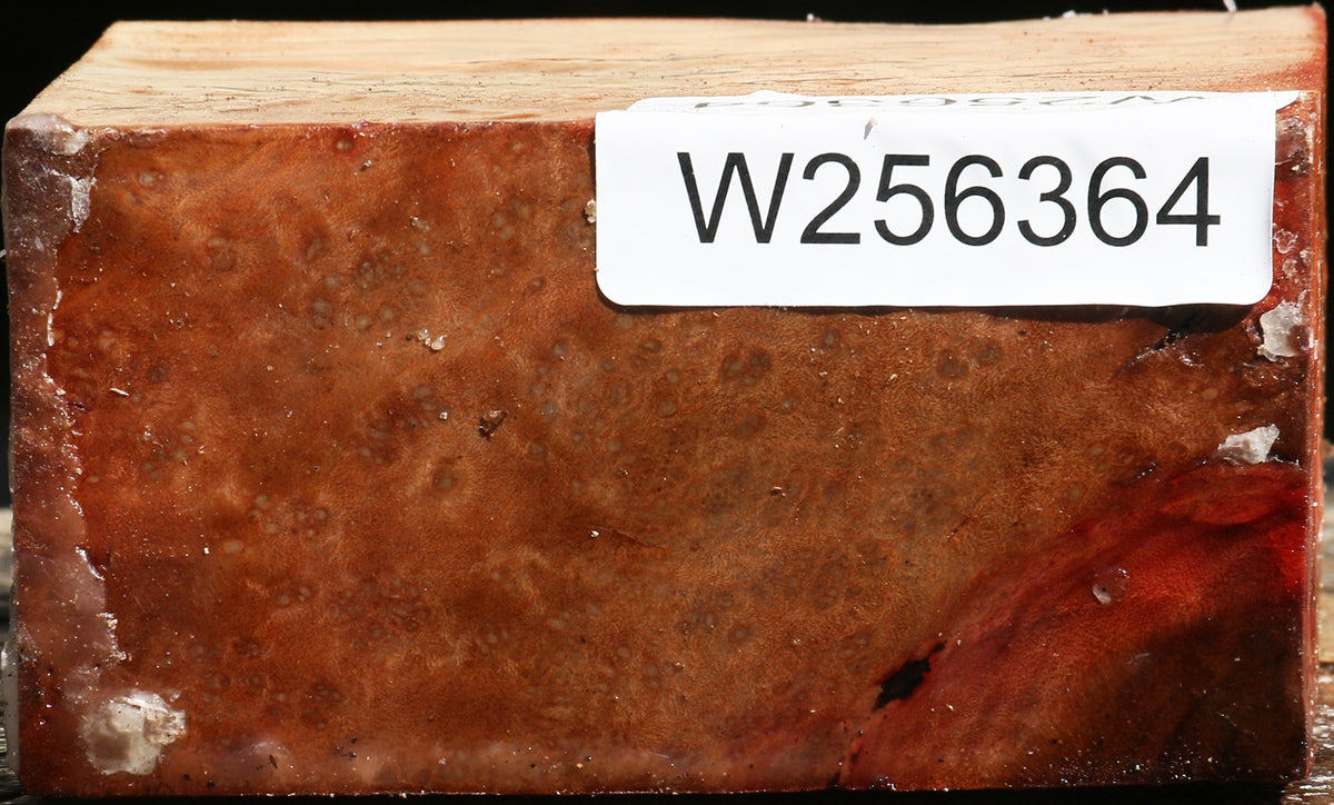 Madrone Burl Bowl Blank