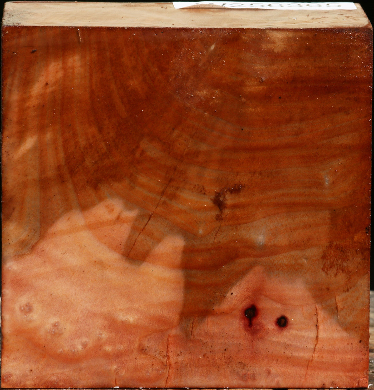 Madrone Bowl Blank
