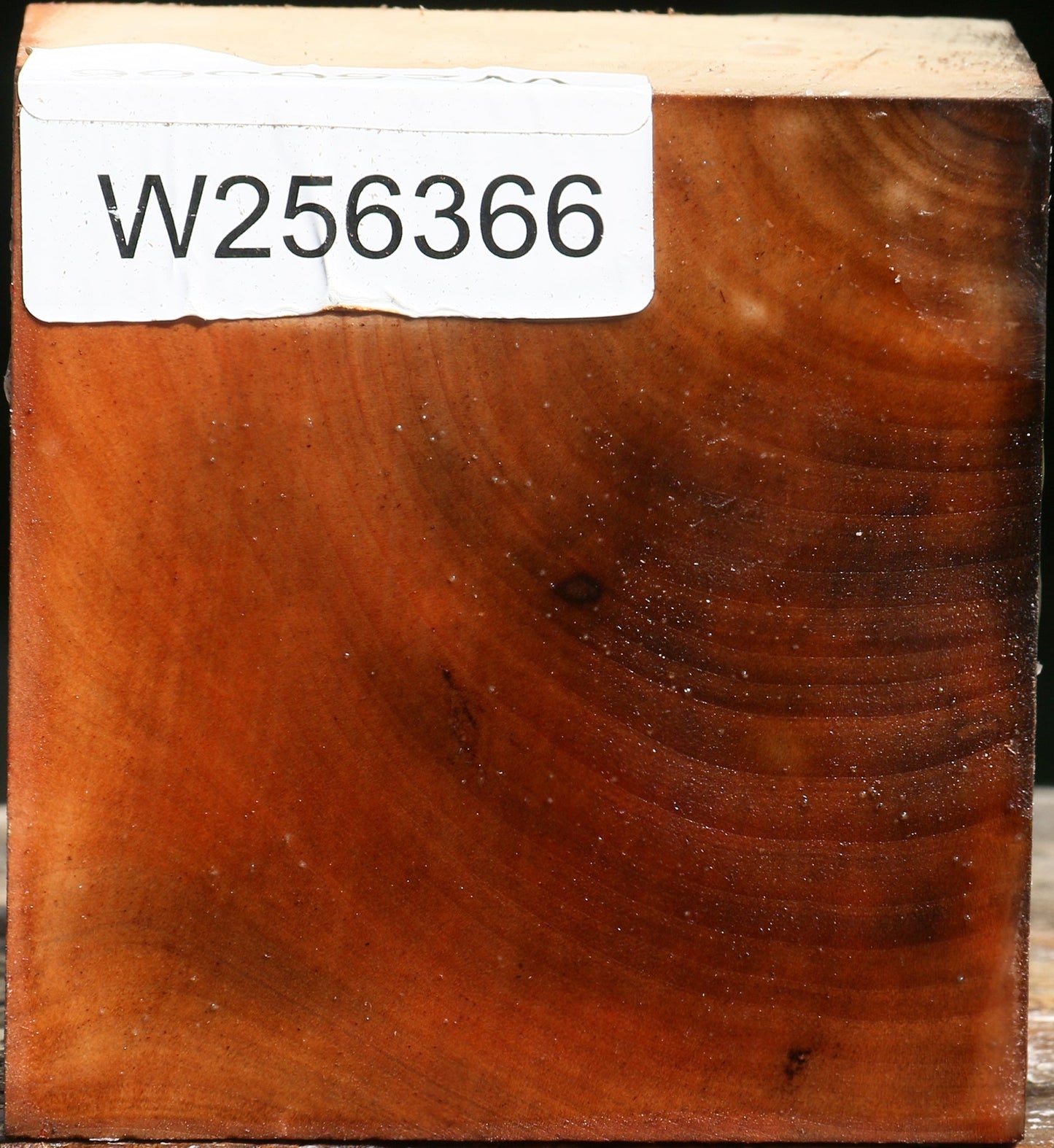 Madrone Bowl Blank