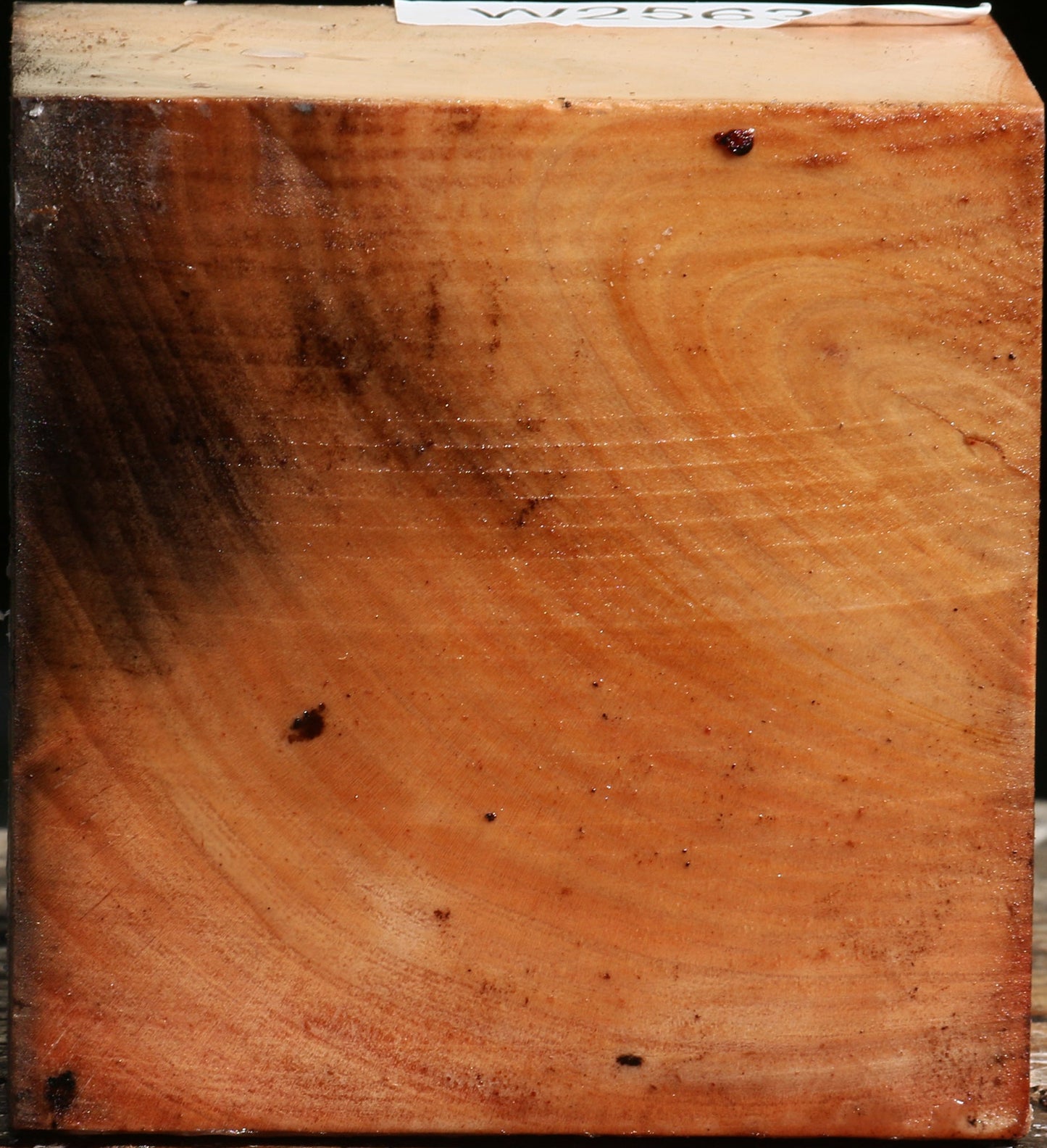 Madrone Bowl Blank