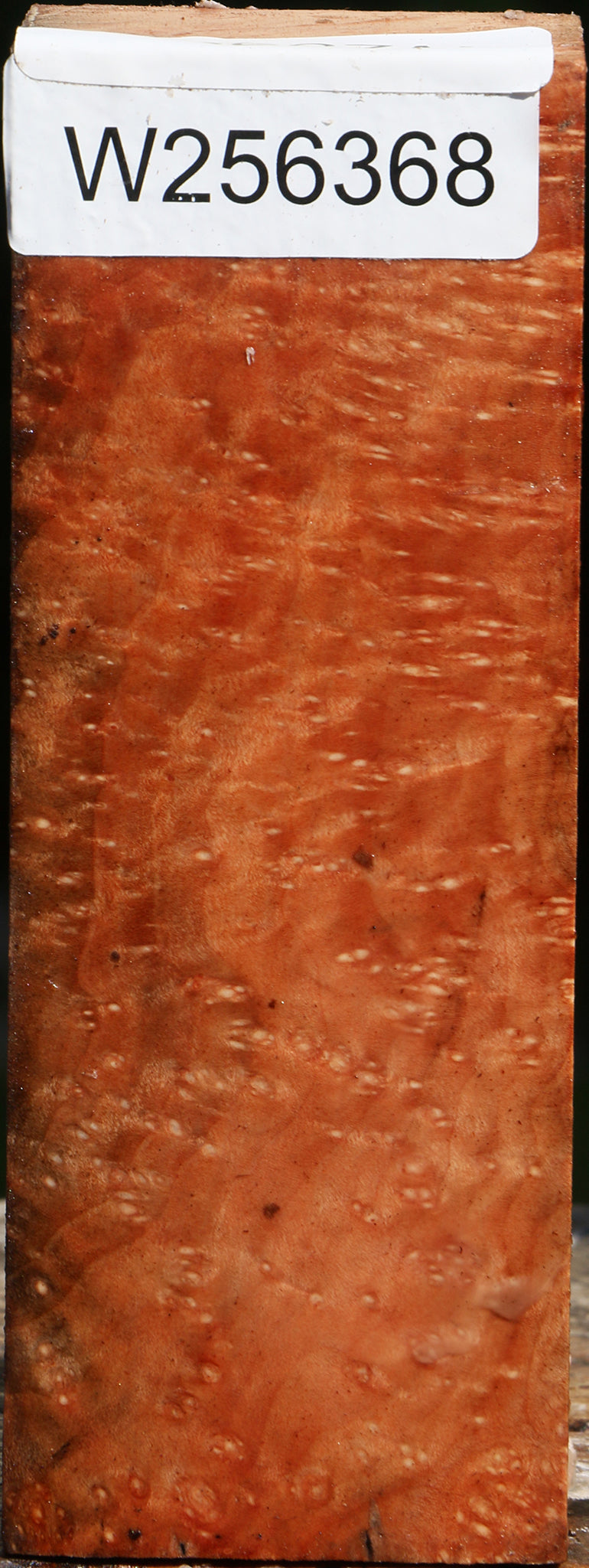 Madrone Burl Turning Square