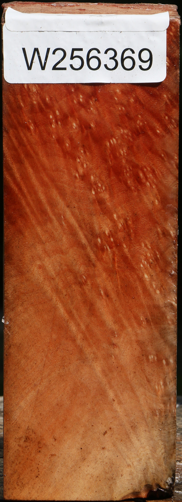 Extra Fancy Madrone Burl Turning Square
