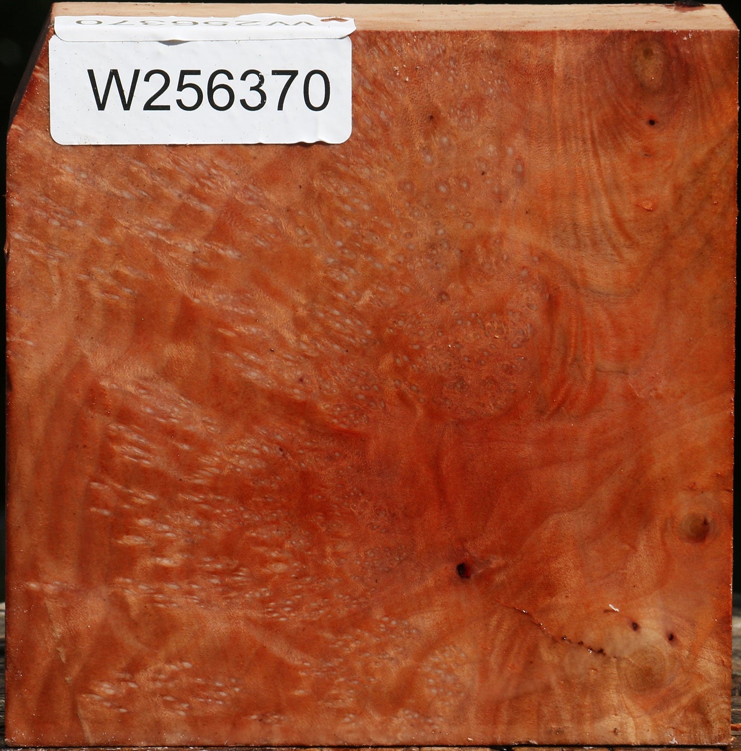 Madrone Burl Bowl Blank