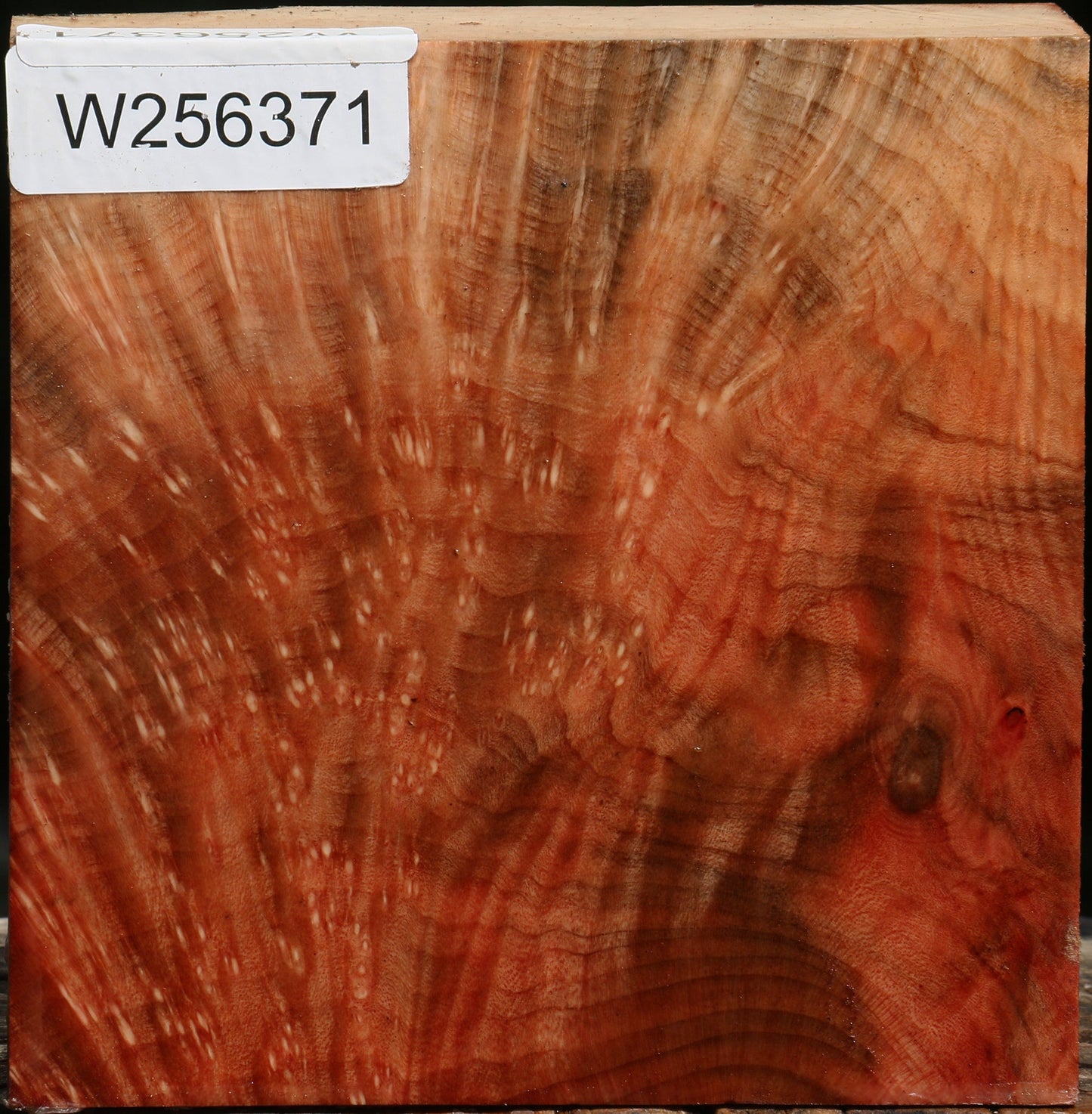Madrone Burl Bowl Blank