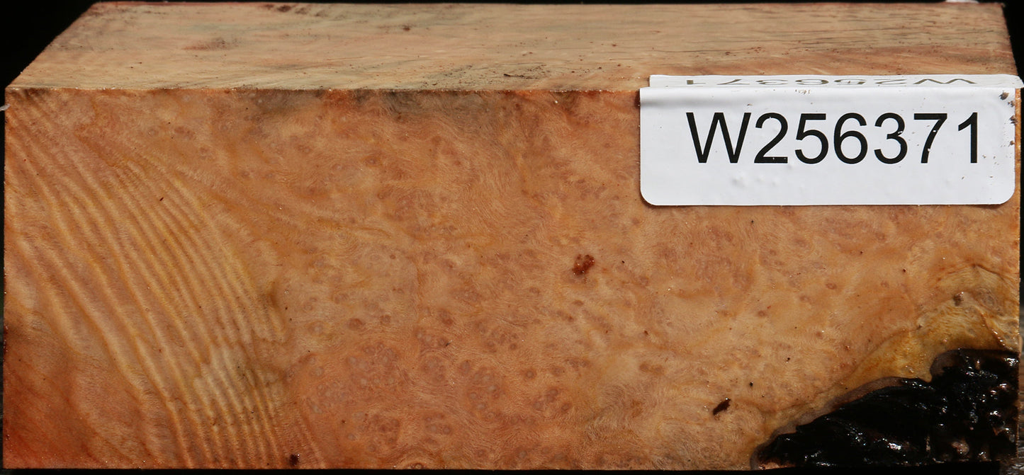 Madrone Burl Bowl Blank