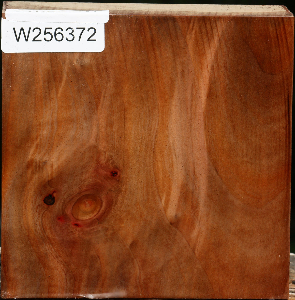 Madrone Bowl Blank