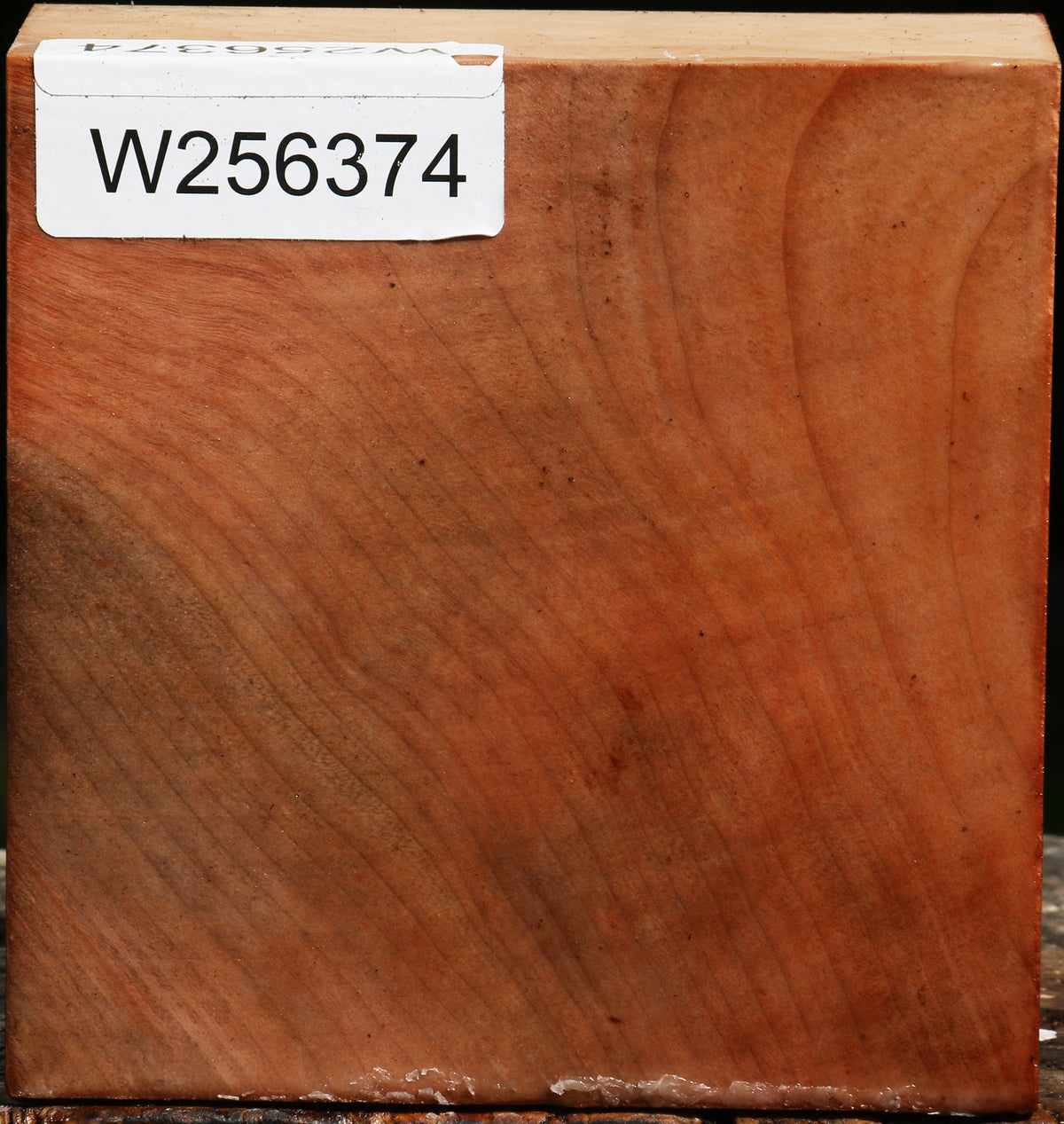 Madrone Bowl Blank