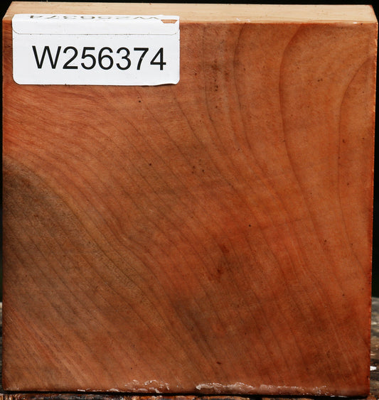 Madrone Bowl Blank