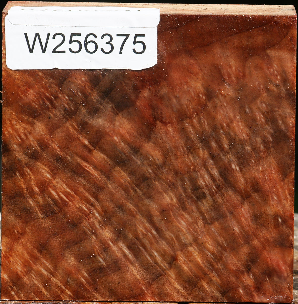Madrone Burl Bowl Blank