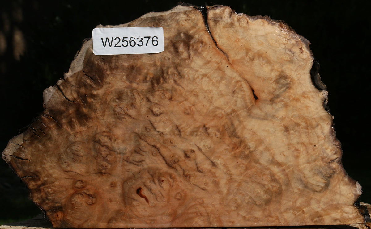 Rustic Madrone Burl Cap