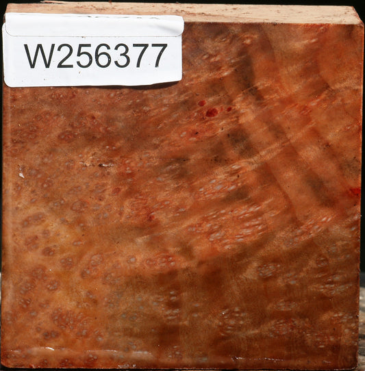 Madrone Burl Bowl Blank