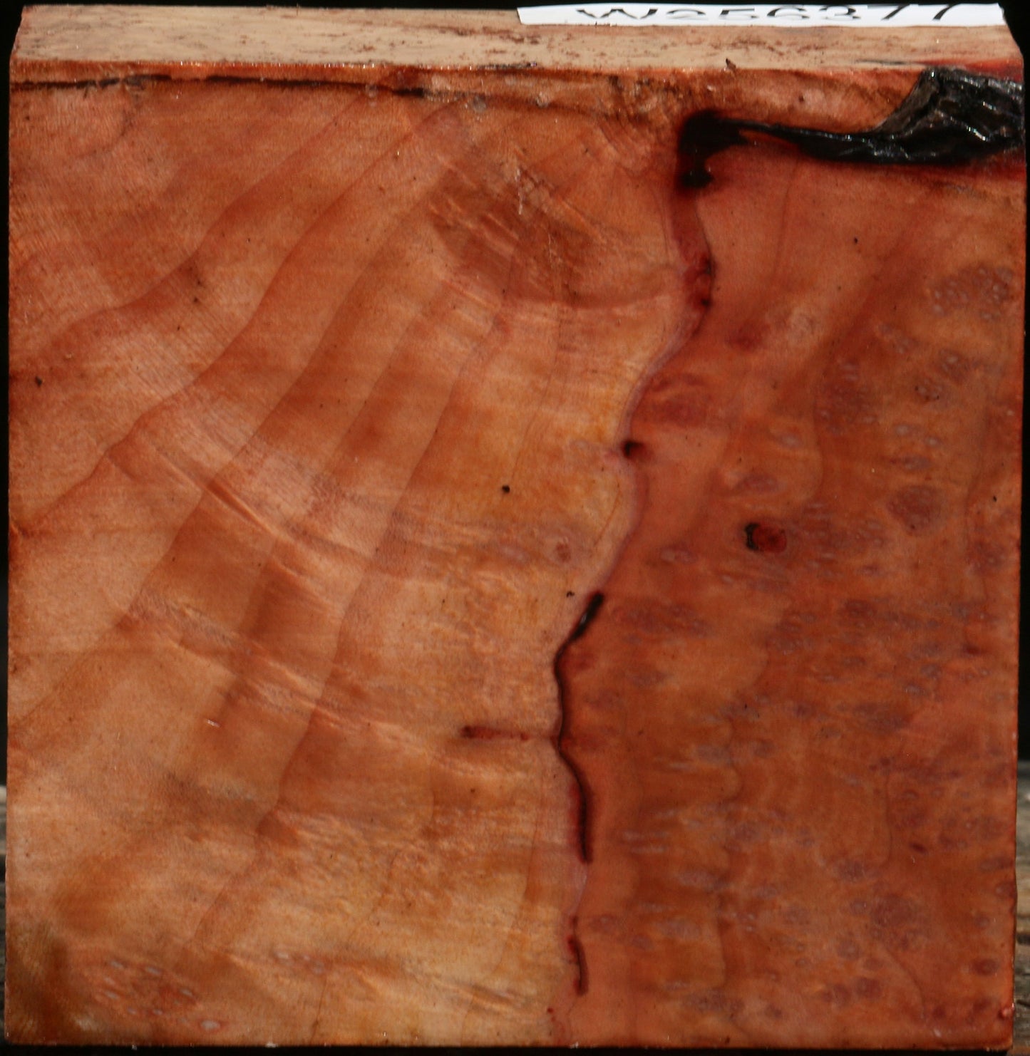 Madrone Burl Bowl Blank