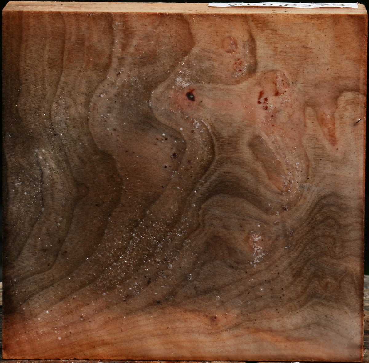 Madrone Bowl Blank