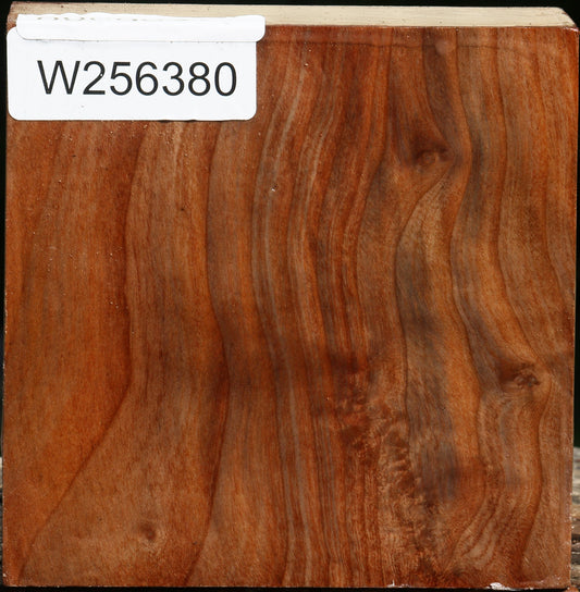 Madrone Bowl Blank