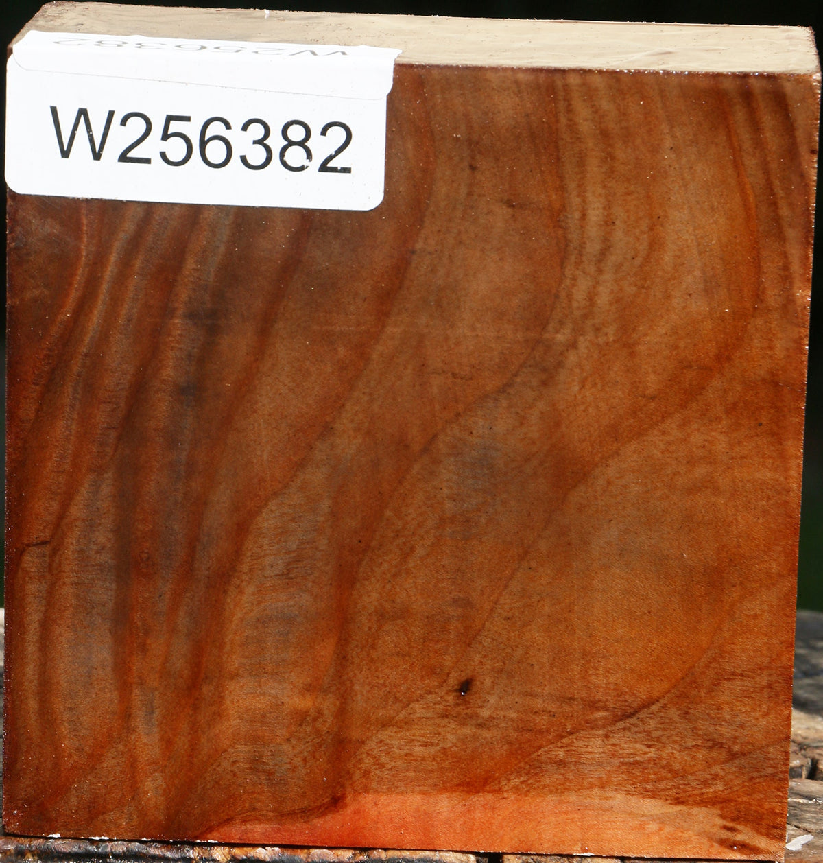 Madrone Bowl Blank