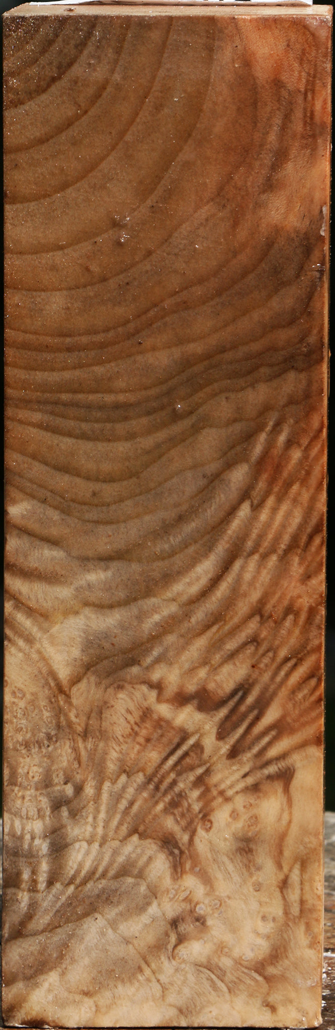 Extra Fancy Madrone Turning Square