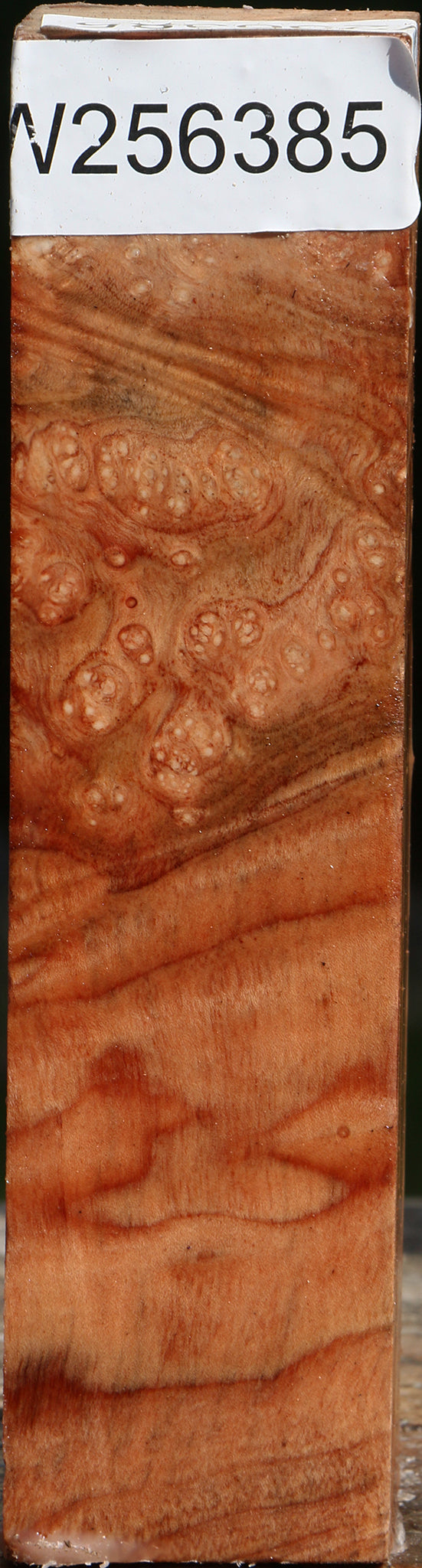 Extra Fancy Madrone Burl Turning Square