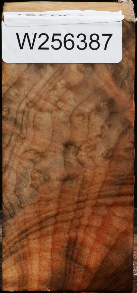 Extra Fancy Madrone Turning Square