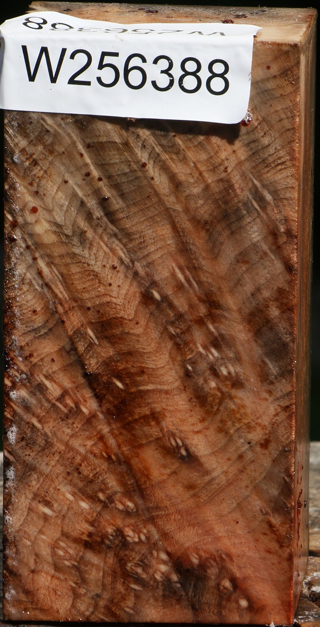 Figured Madrone Turning Square