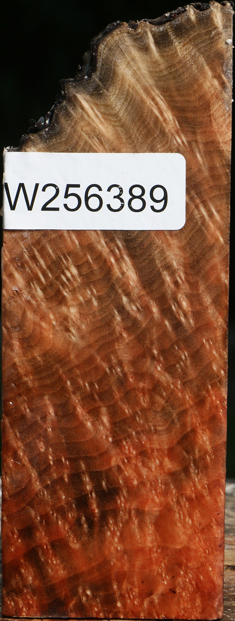 Madrone Burl Live Edge Turning Square