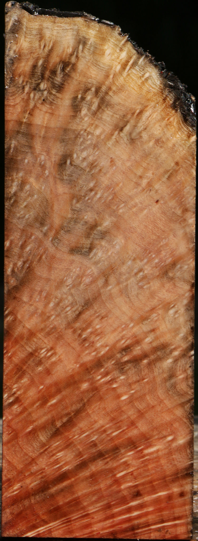 Madrone Burl Live Edge Turning Square