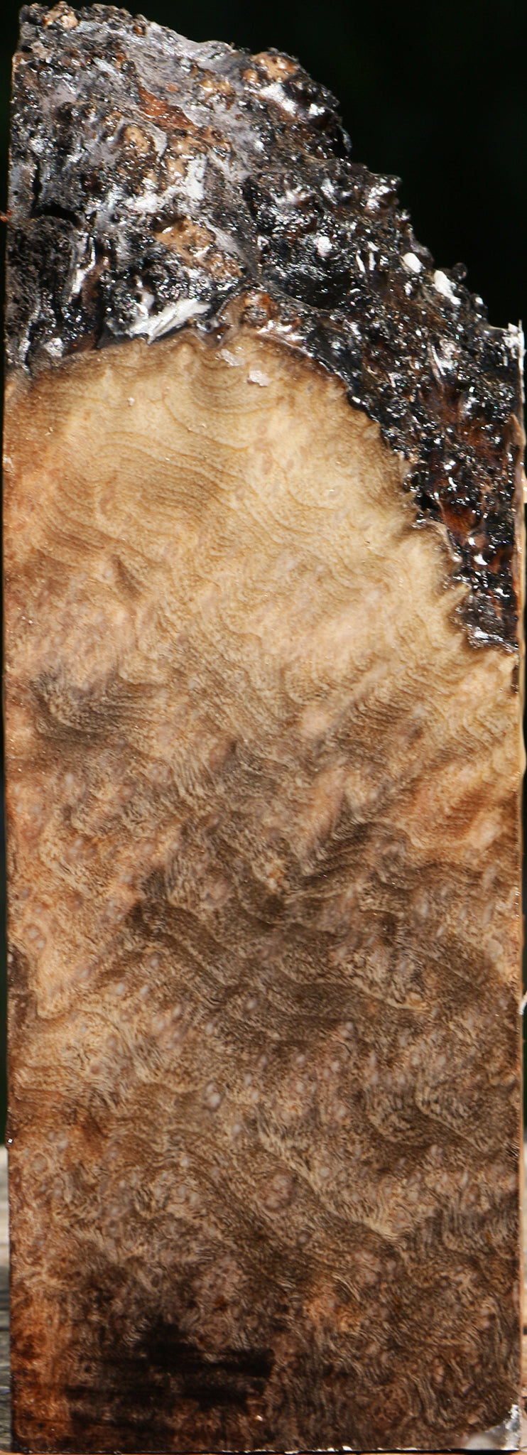 Madrone Burl Live Edge Turning Square