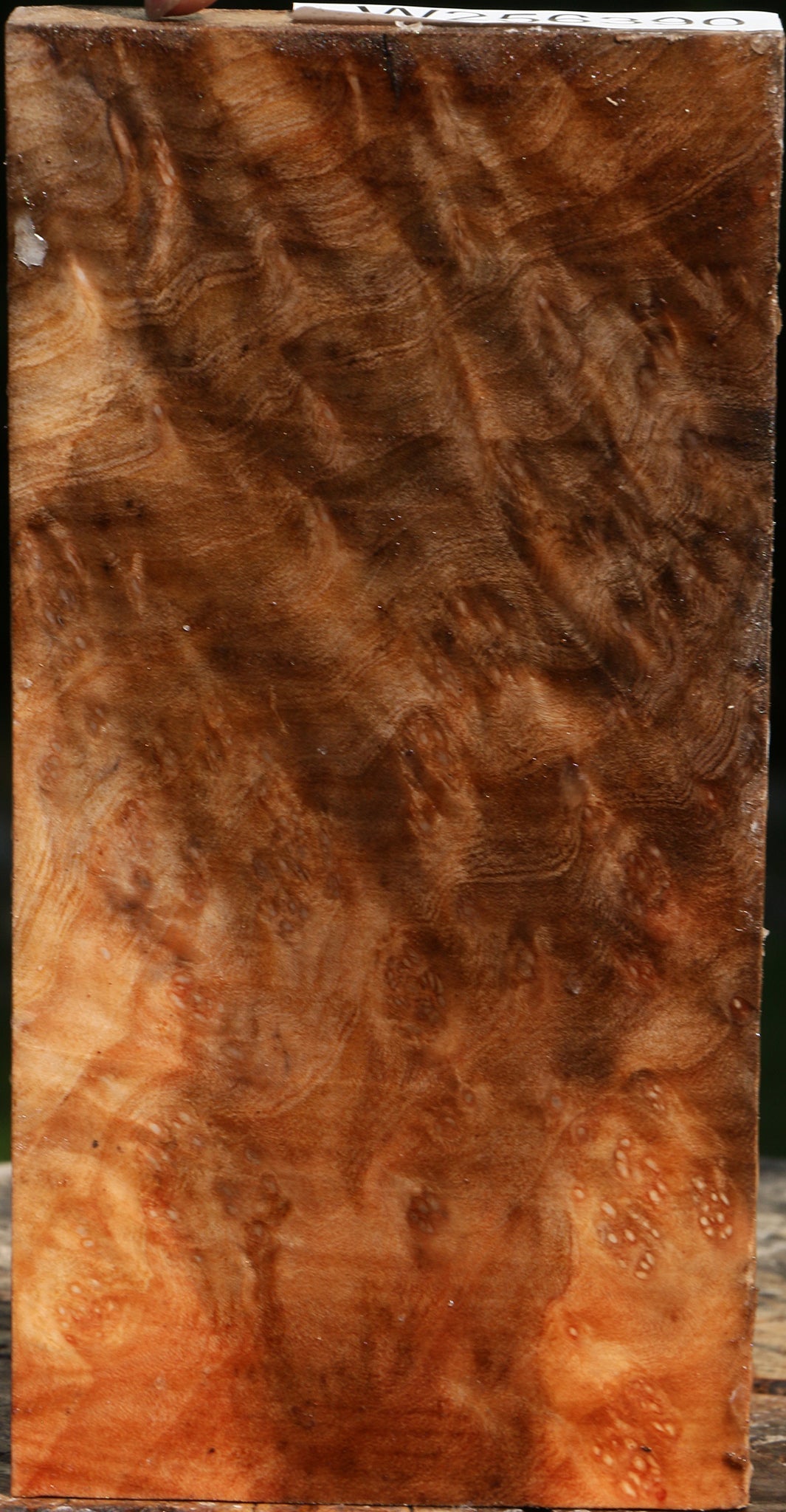 Madrone Burl Lumber