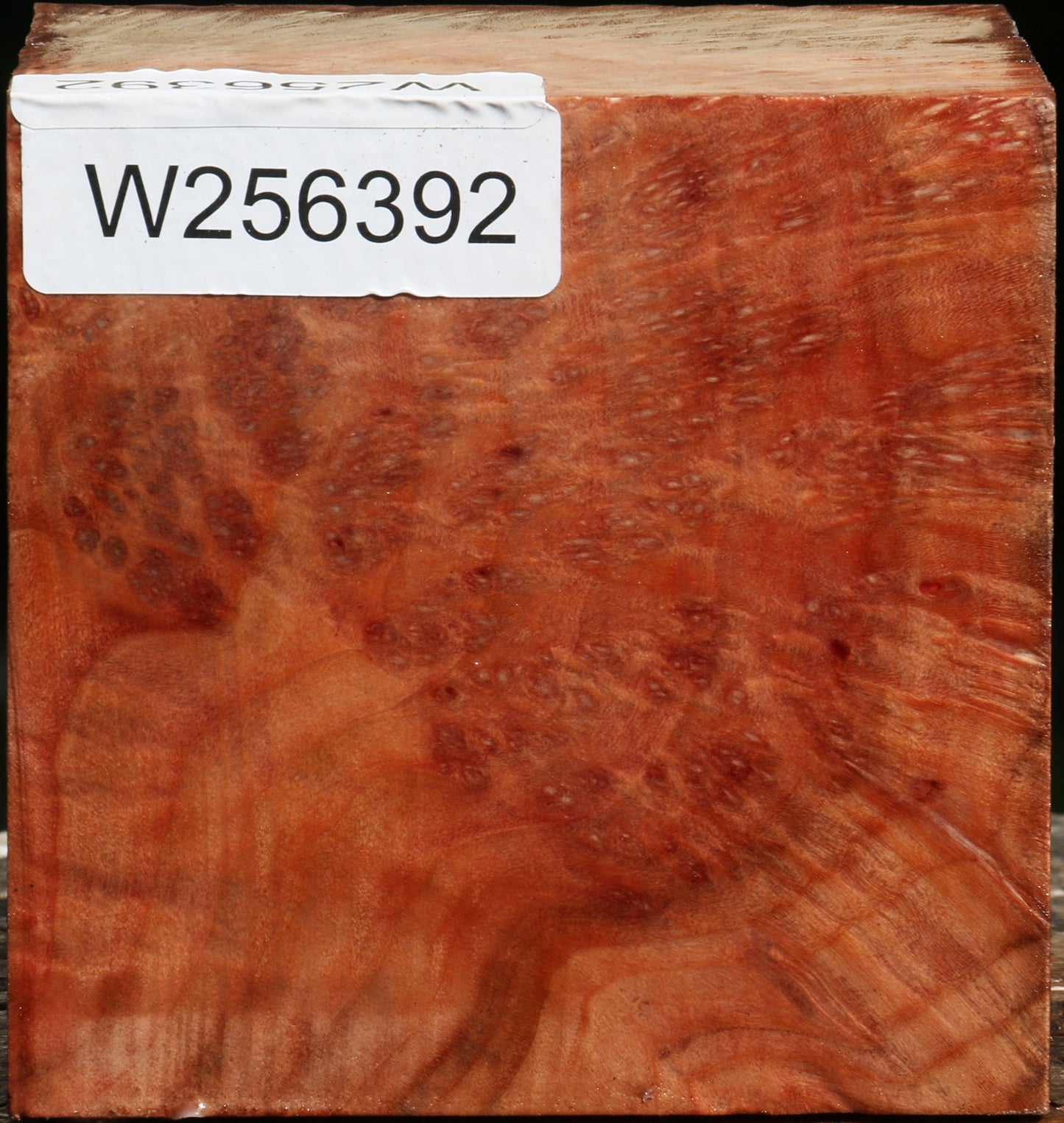 Madrone Burl Bowl Blank