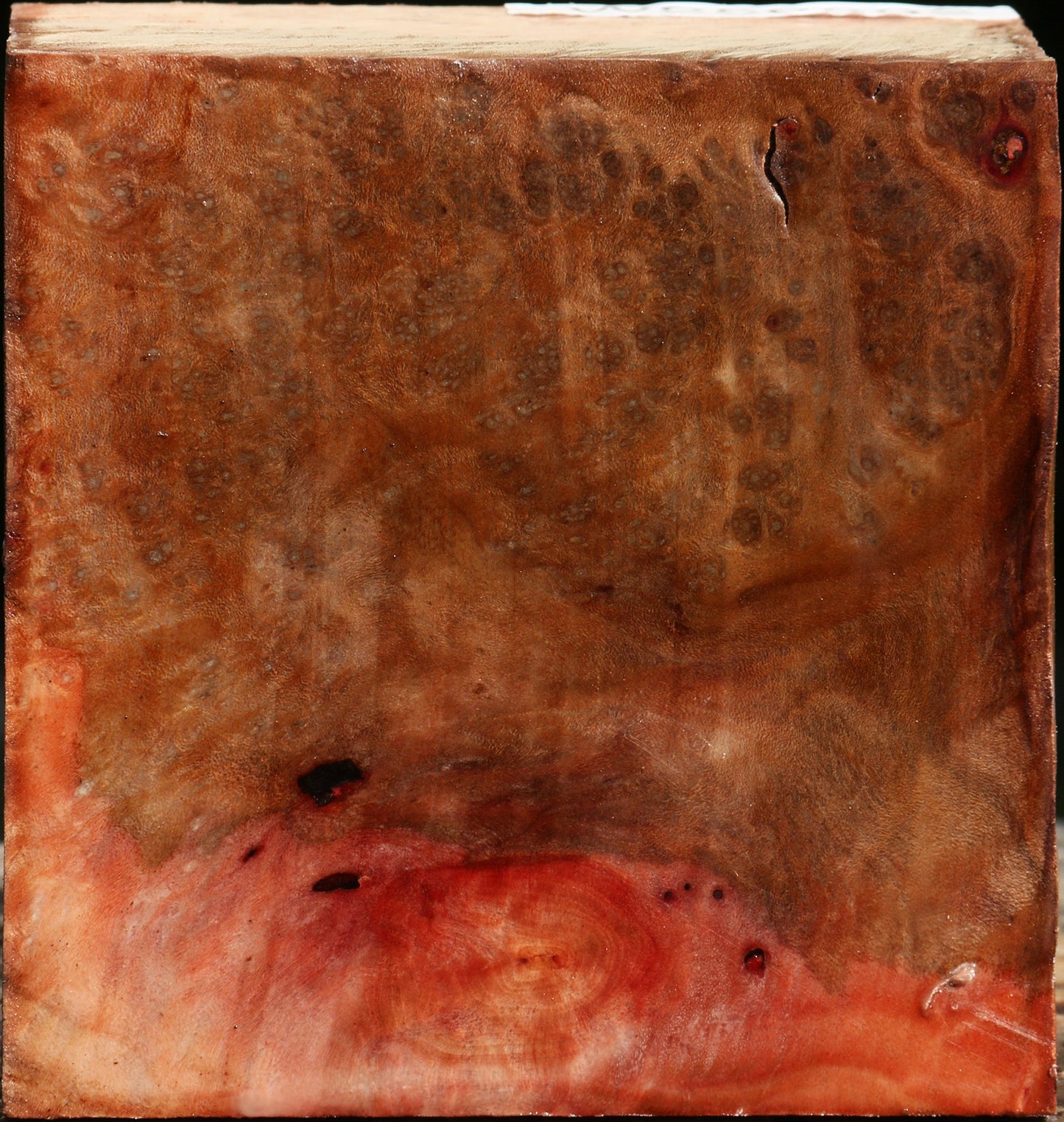 Madrone Burl Bowl Blank