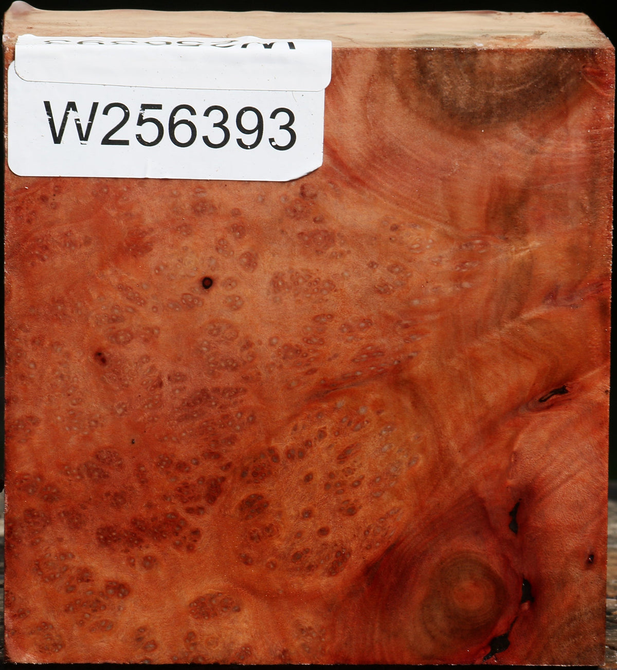 Madrone Burl Bowl Blank